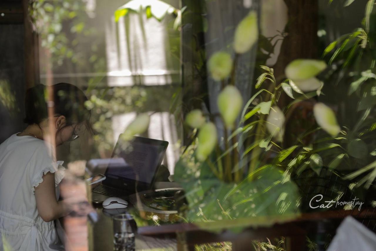 Cat Homestay Hue Εξωτερικό φωτογραφία