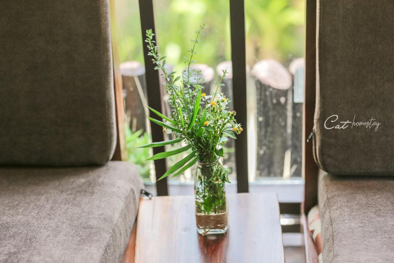 Cat Homestay Hue Εξωτερικό φωτογραφία